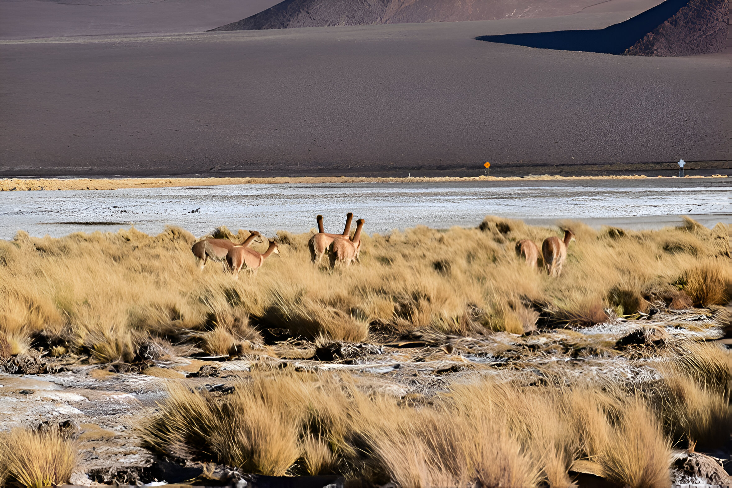 Humedales y Territorios
