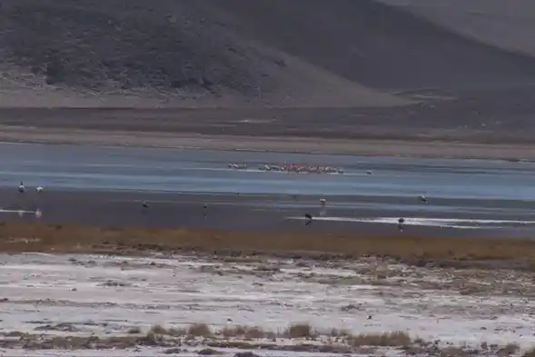 Humedales principales