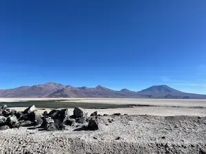 Vegetación acuática