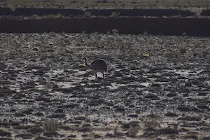 Territorio protegido