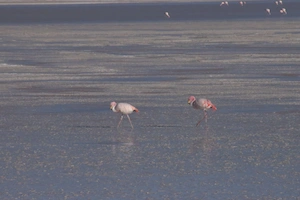 Ecosistema acuático